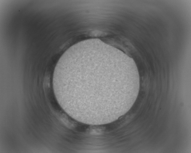 X0000081370368200702082352