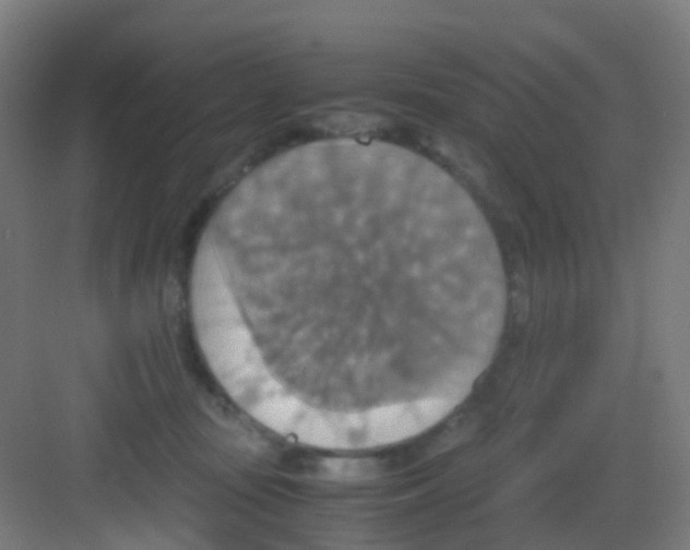 X0000081370371200702082352