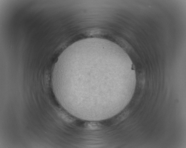 X0000081370372200702082352