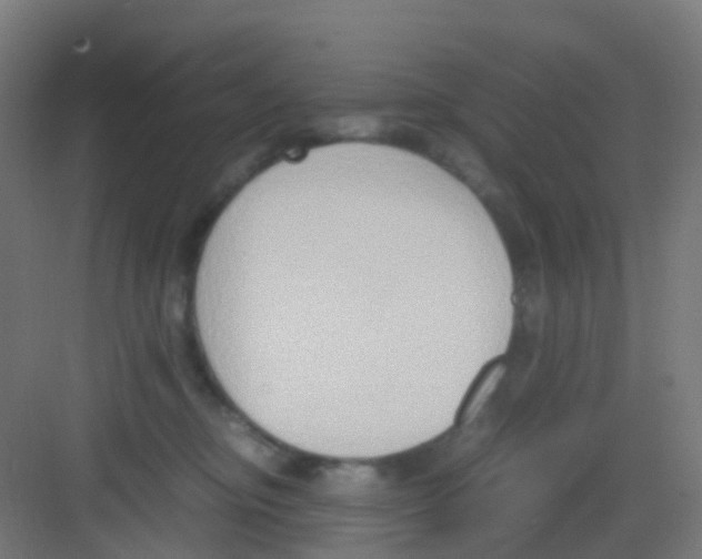 X0000081370374200702082352