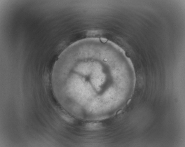 X0000081370375200702082352