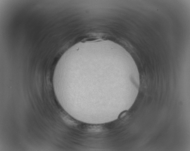 X0000081370377200702082352