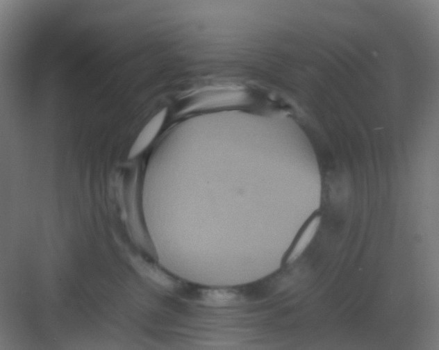 X0000081370380200702082352