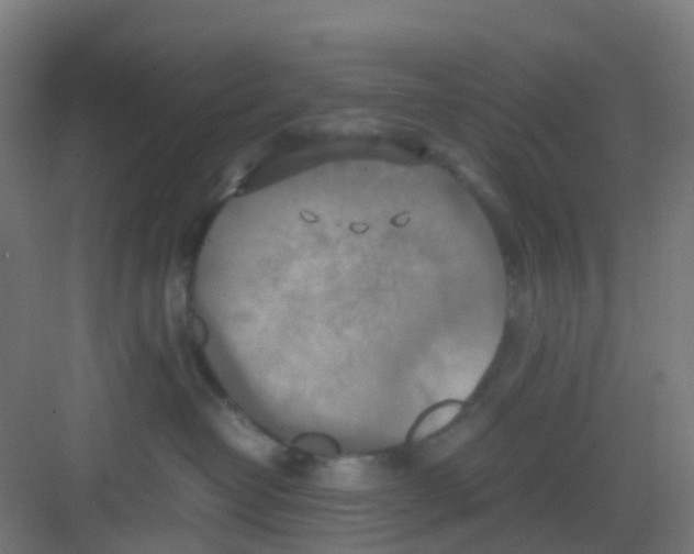 X0000081370382200702082352