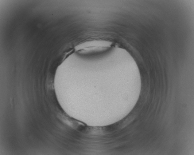 X0000081370384200702082352