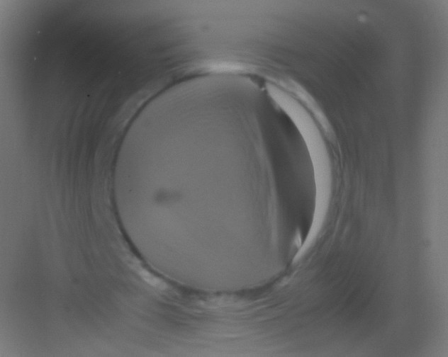 X0000081370385200702082352