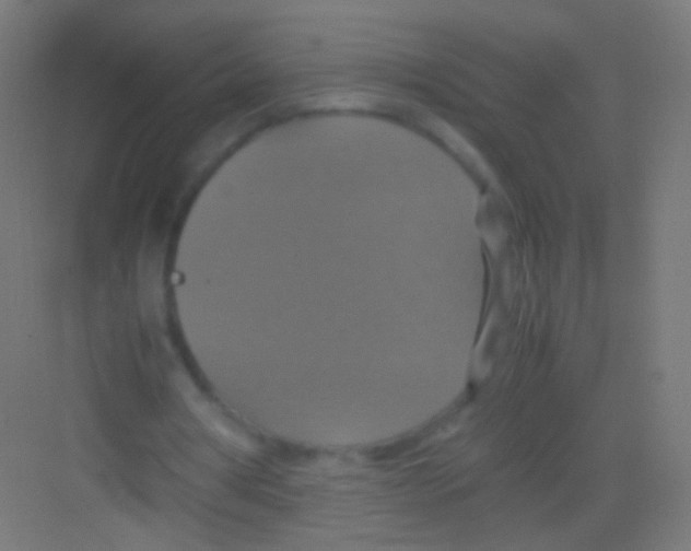 X0000081370386200702082352