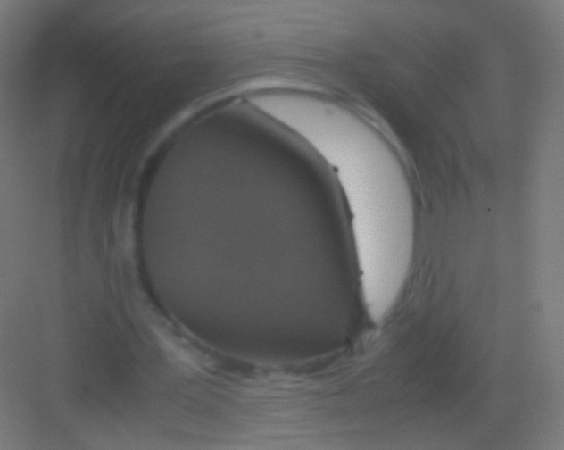 X0000081370387200702082352