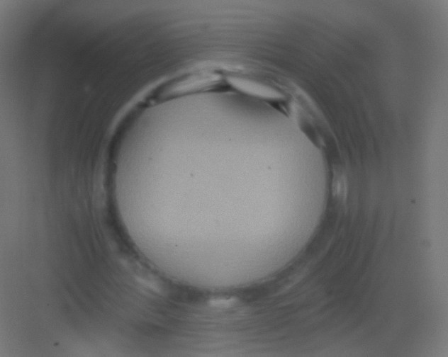 X0000081370388200702082352