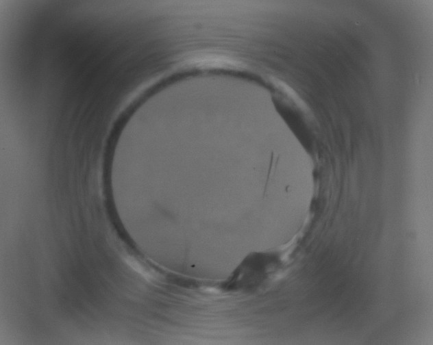 X0000081370391200702082351