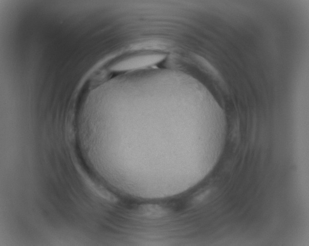 X0000081370392200702082351