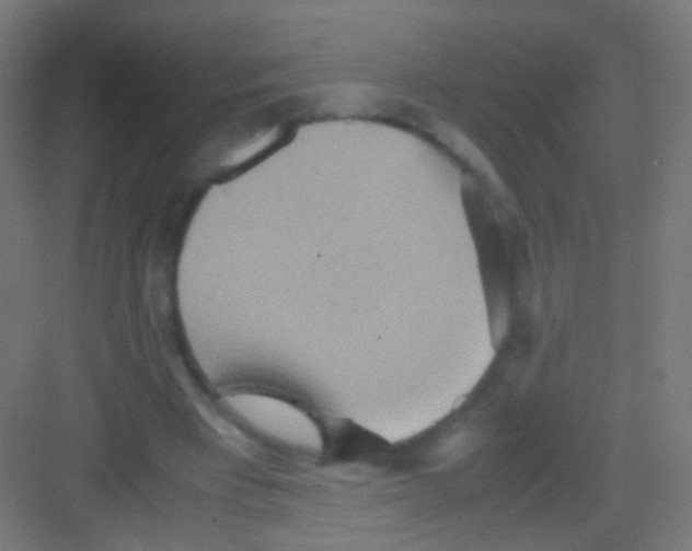 X0000081370393200702082351