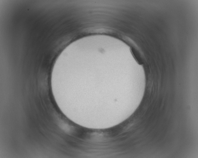 X0000081370394200702082351