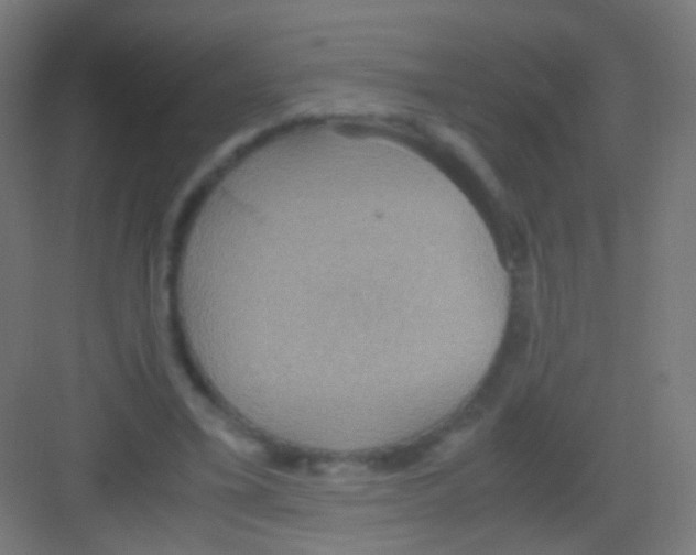 X0000081370395200702082351