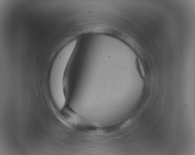 X0000081370397200702082351