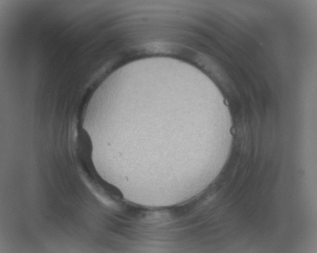 X0000081370398200702082351