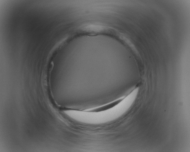 X0000081370399200702082351