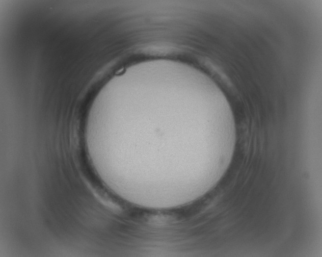 X0000081370400200702082351