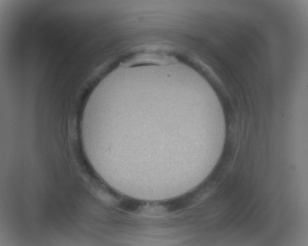 X0000081370403200702082351