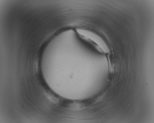 X0000081370404200702082351