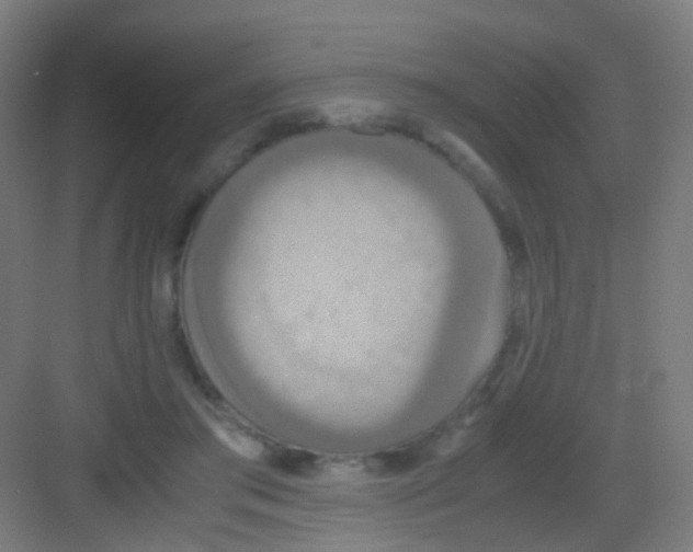 X0000081370405200702082351