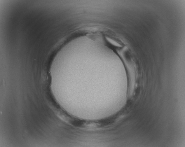 X0000081370407200702082351