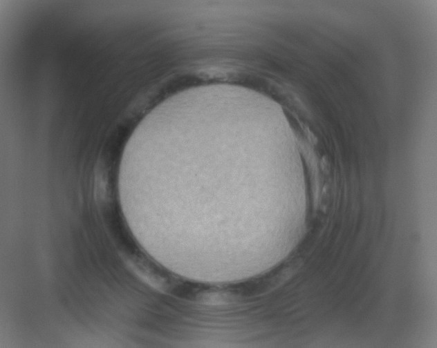 X0000081370408200702082351