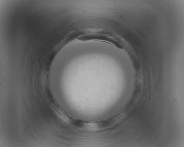 X0000081370409200702082351