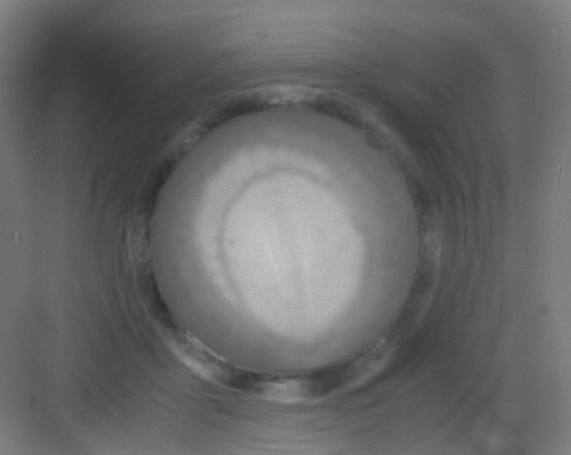 X0000081370411200702082351