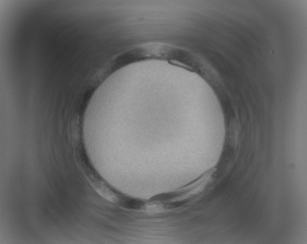 X0000081370413200702082351