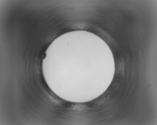 X0000081370414200702082351