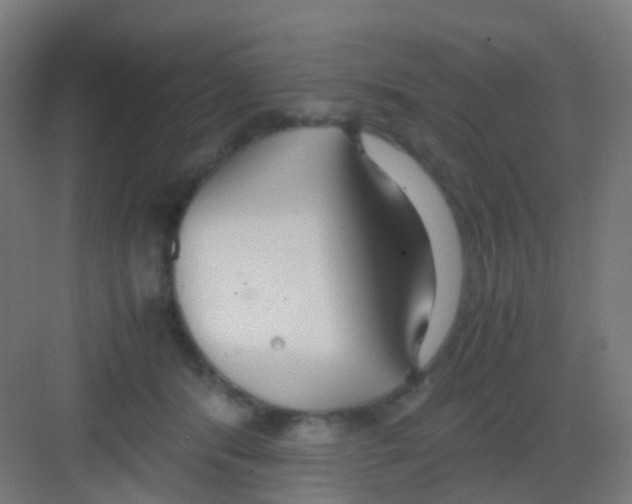 X0000081370416200702082351