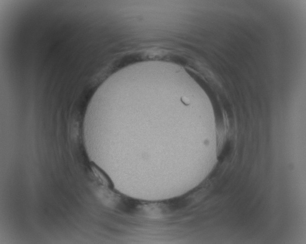 X0000081370417200702082351