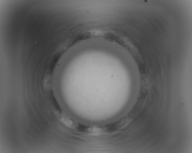 X0000081370419200702082351