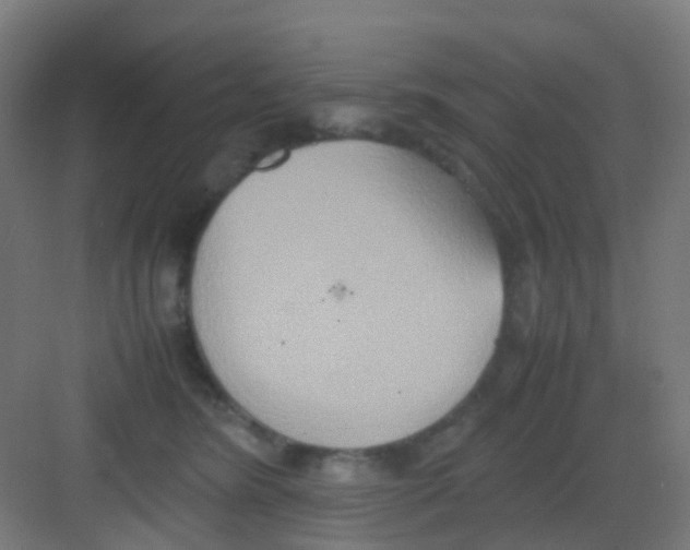 X0000081370420200702082351