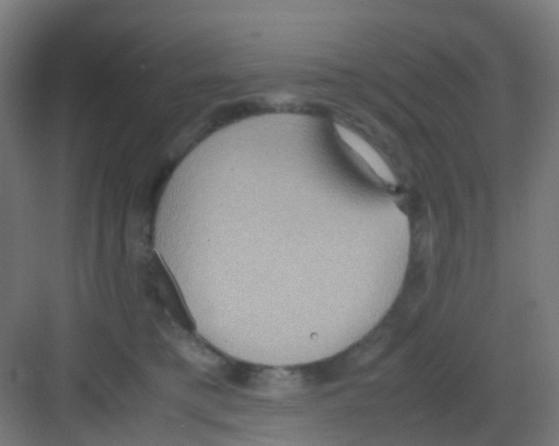 X0000081370421200702082351