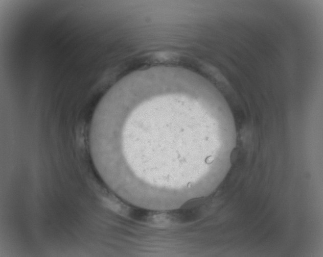 X0000081370423200702082351