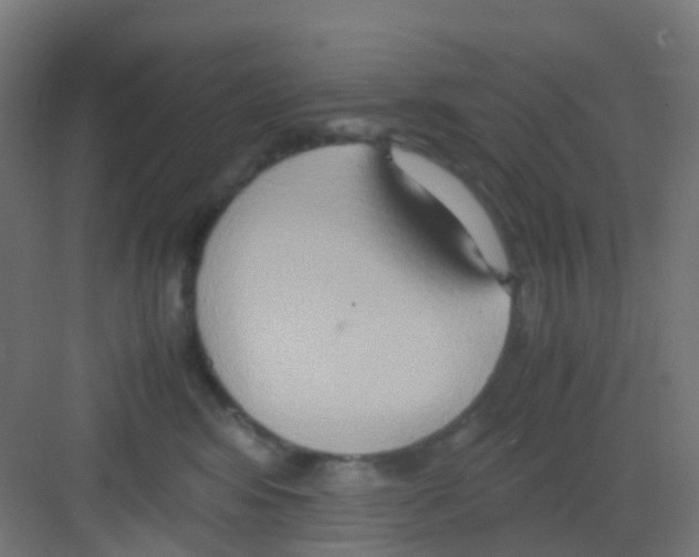 X0000081370424200702082351