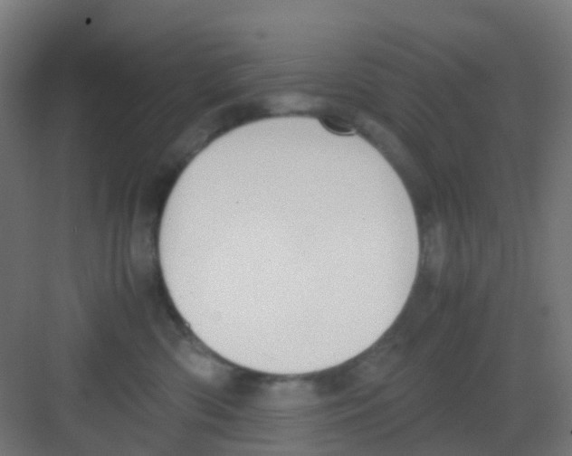 X0000081370426200702082351