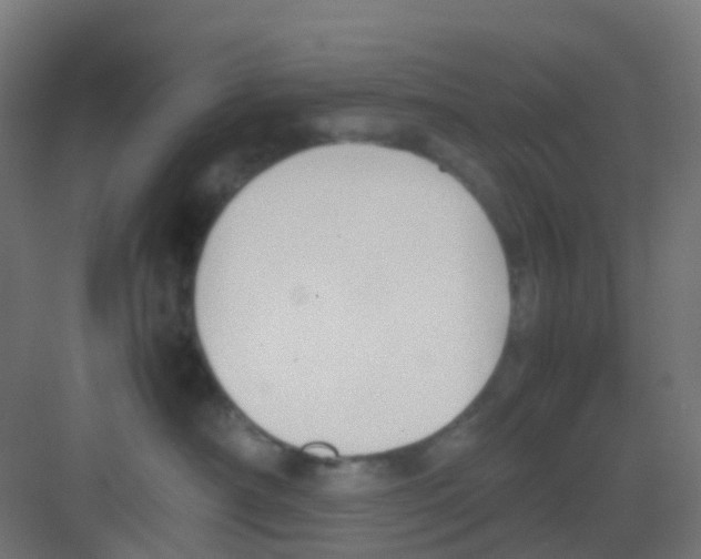 X0000081370430200702082351