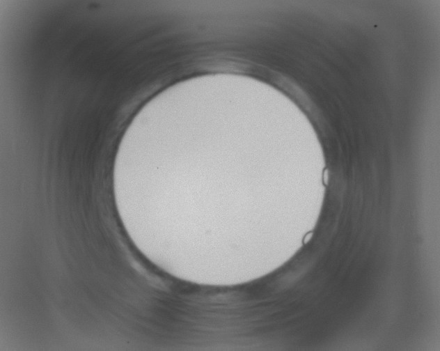 X0000081370433200702082350