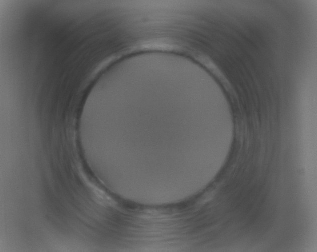 X0000081370434200702082350