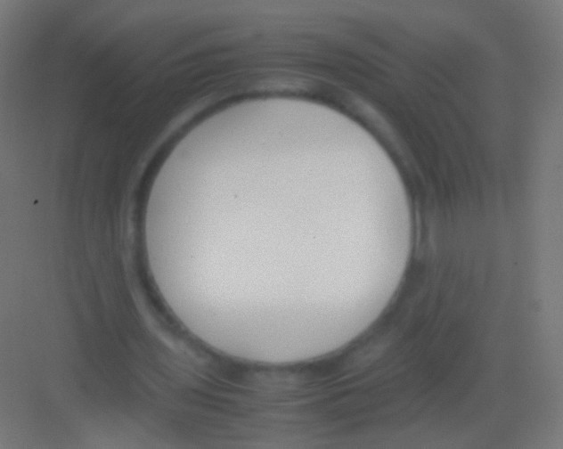 X0000081370435200702082350