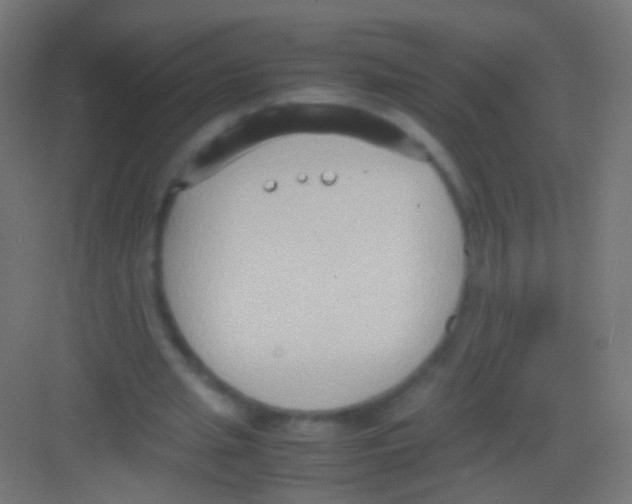 X0000081370437200702082350