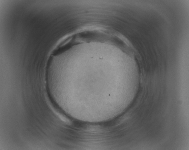 X0000081370438200702082350