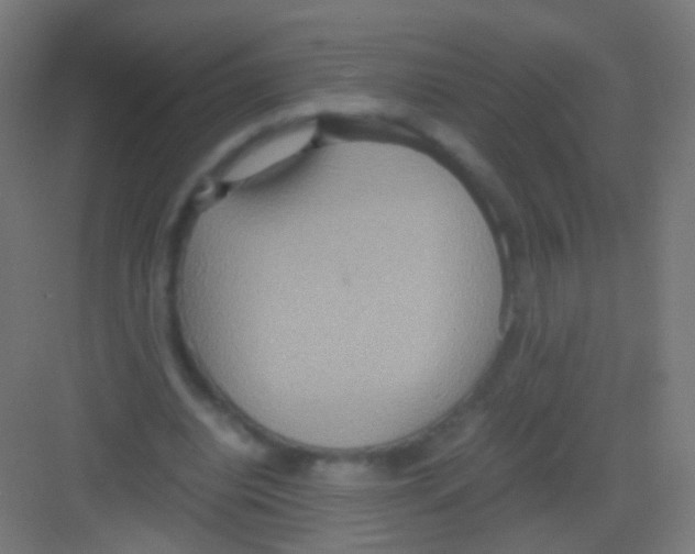 X0000081370440200702082350