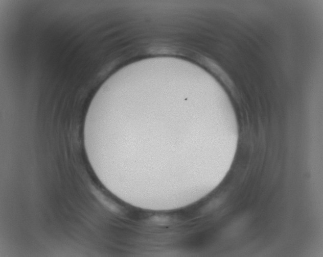 X0000081370441200702082350