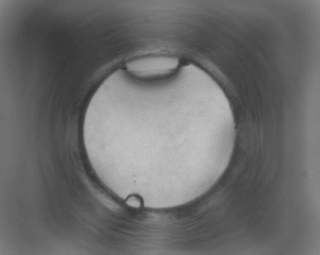 X0000081370442200702082350