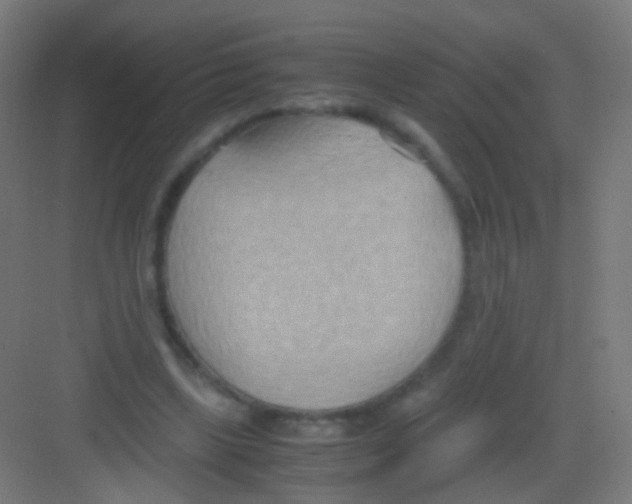 X0000081370443200702082350