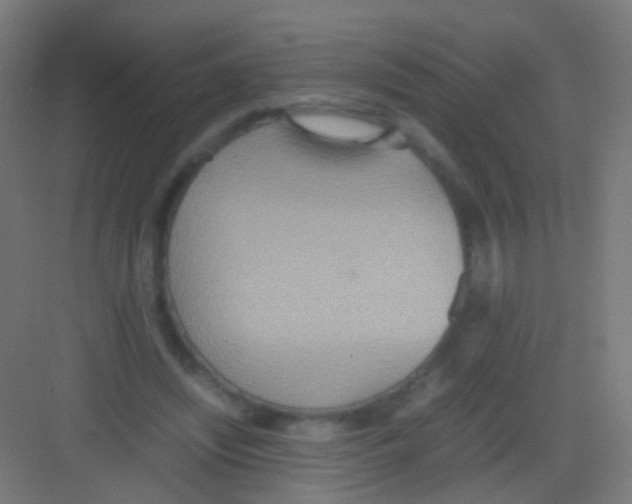 X0000081370444200702082350